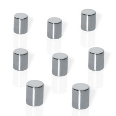 Neodymium Silver Cylinder Design Magnets - 8X10mm (8) - B3103